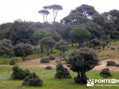 Senderismo Madrid - Pantano de San Juan - Embalse de Picadas; parques naturales de madrid
